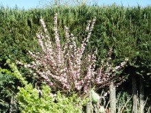  Herrliche Ortsrandlage und Ausblick - Gro�es Einfamilienhaus in bevorzugter Wohnlage