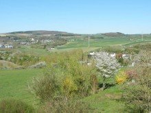  Herrliche Ortsrandlage und Ausblick - Gro�es Einfamilienhaus in bevorzugter Wohnlage